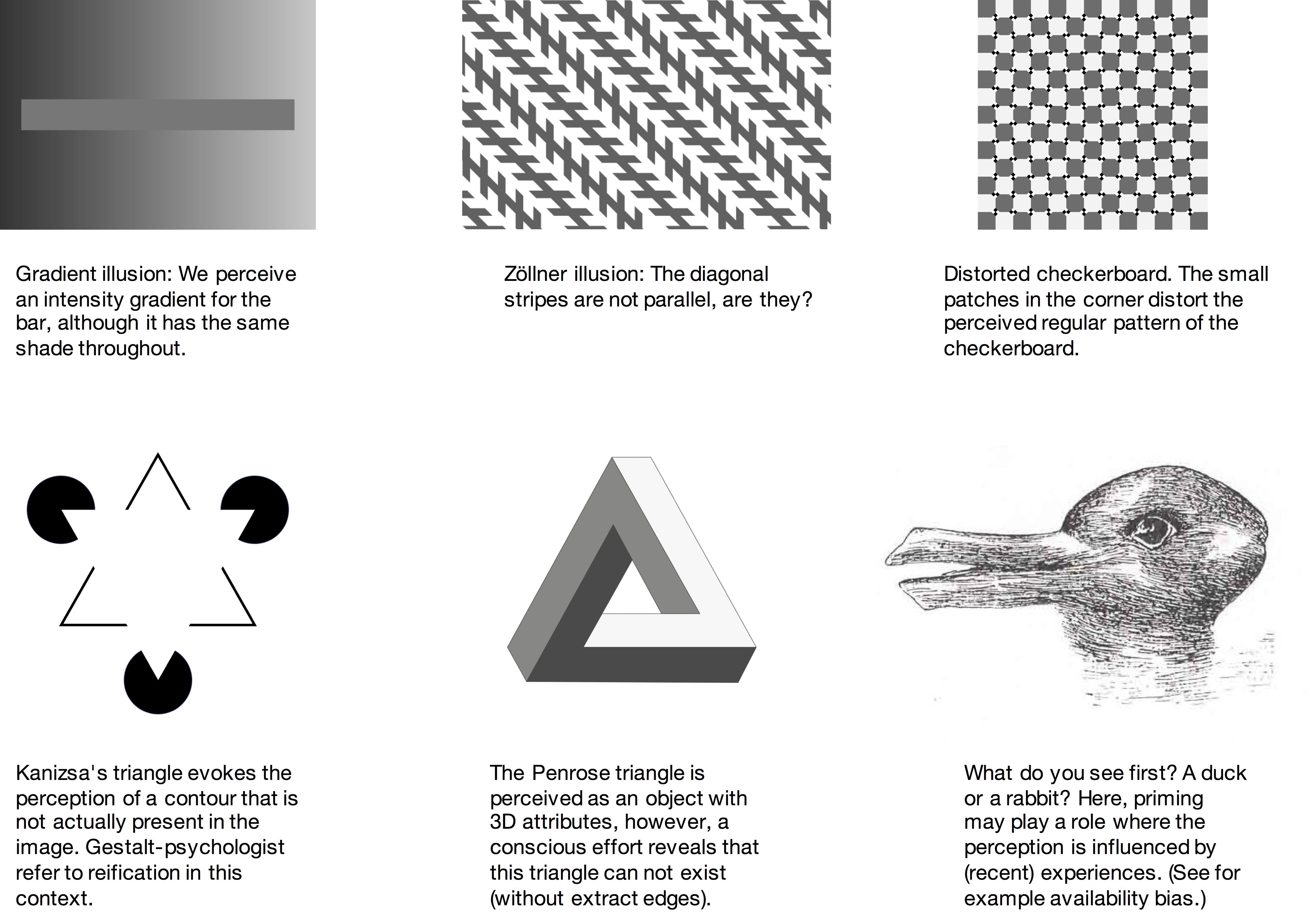 perceptual illusions examples